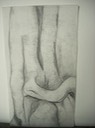 DSCN0518